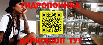 Альфа ПВП Балаково