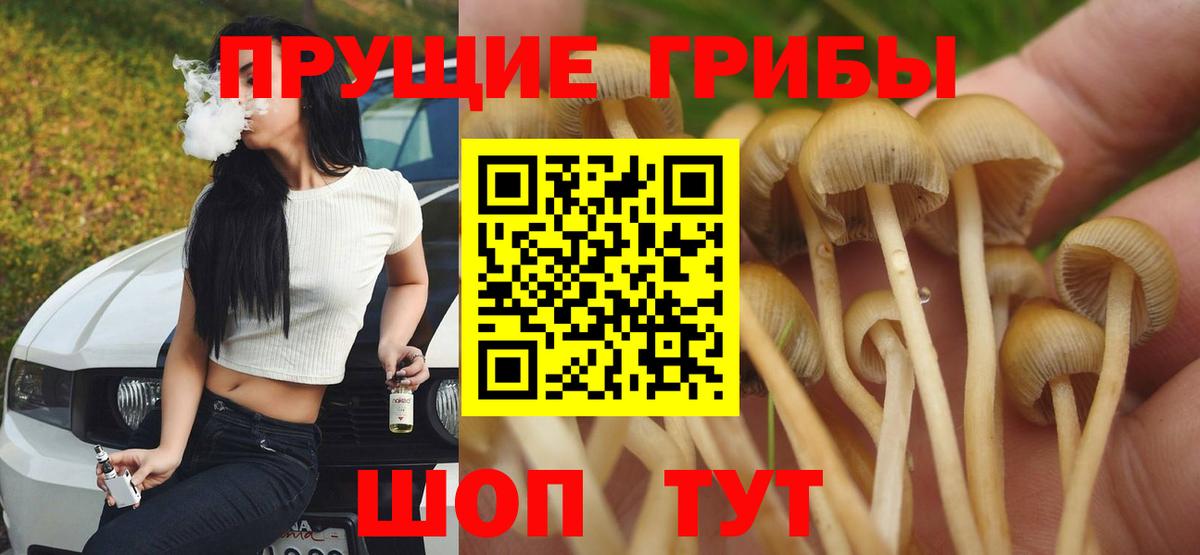 Галлюциногенные грибы мухоморы Дзержинский